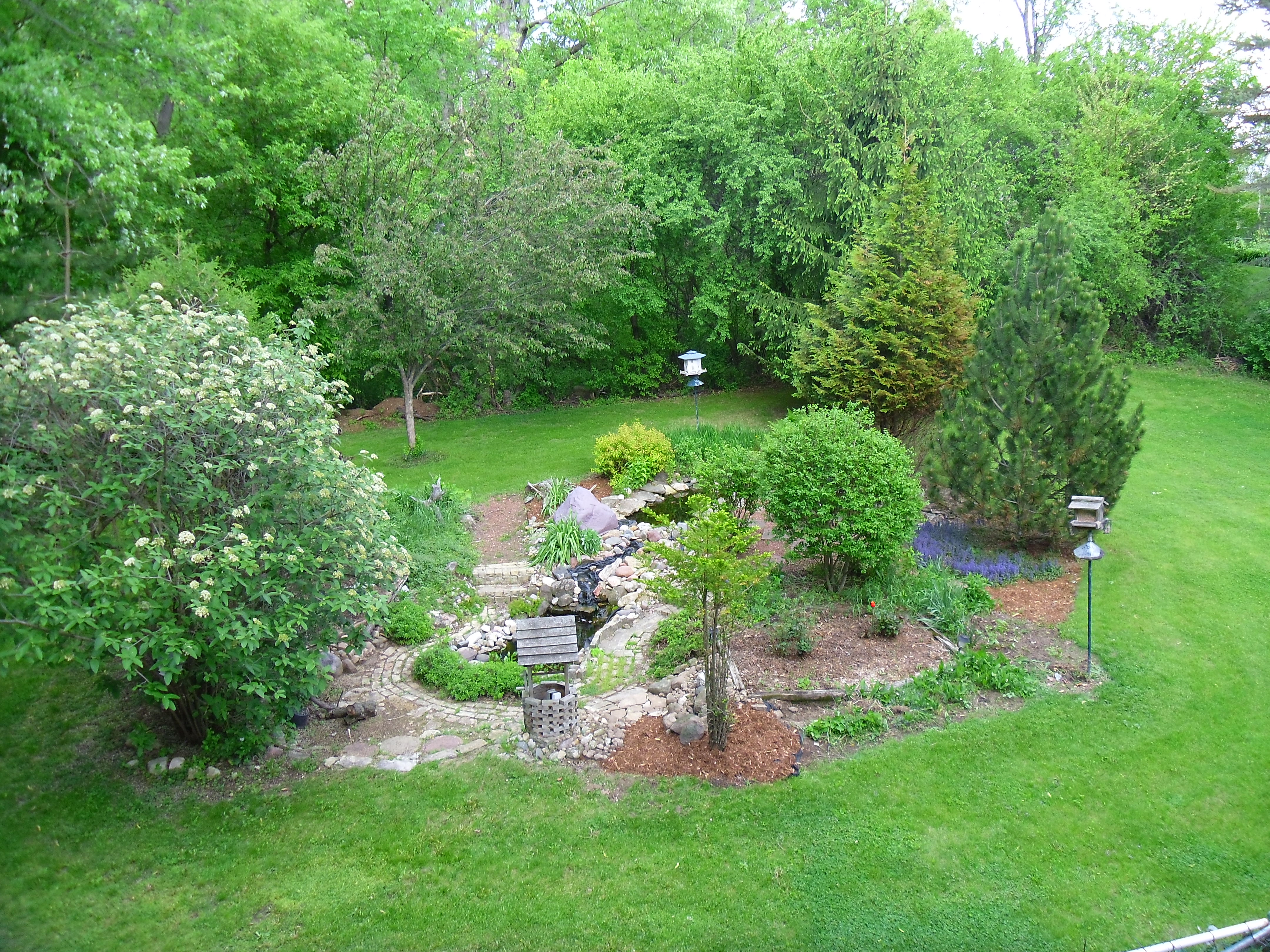 Garden with two fish ponds