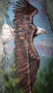 Eagle soaring above trees on feather