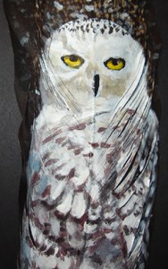 Snowy Owl - double feather