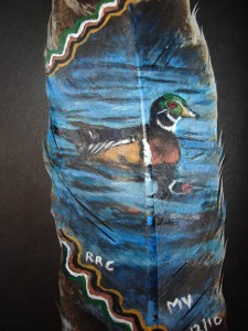 Wood Duck on feather