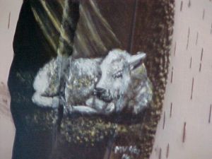 Miracle, the white buffalo on feather