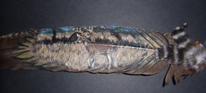 Buck - in field on feather