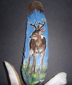 Buck - backlit on feather