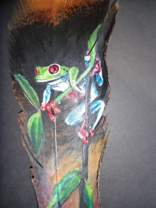 Red-eyed tree frog on feather