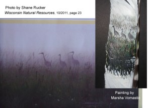 Cranes misty on feather with original photo