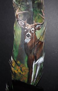 Buck - forest dawn on feather