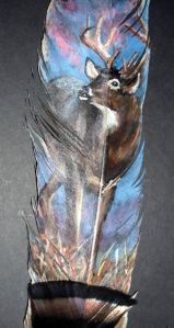 Buck - sunset on feather