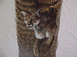 Cougar on feather