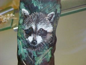 Racoon on feather