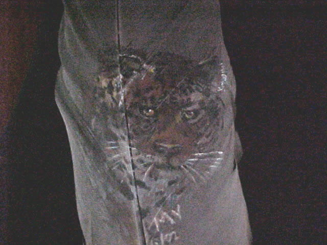 Jaguar on feather