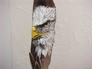 Eagle Eye on feather