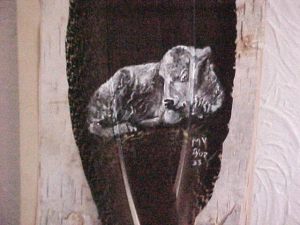 Miracle the white buffalo on feather