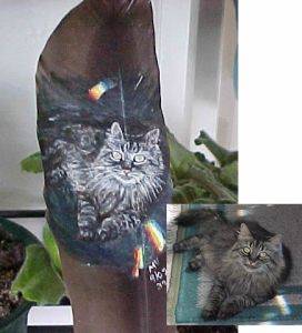 Henri, my cat on feather