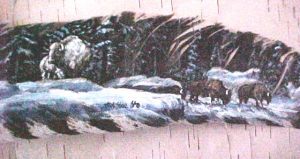 Buffalo in Snow on feather