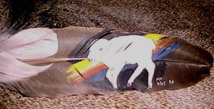 Miracle w/Rainbow on feather