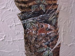 Dozing Fawn on feather