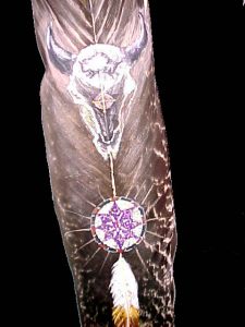 Bison skull, decorated painted on feather