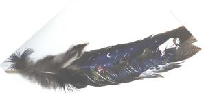 Santa w/Buffalo Sleigh on feather