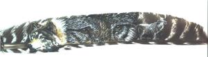 Wolf Collage on feather