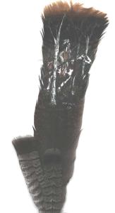 Paint horse w/Native American painted on feather