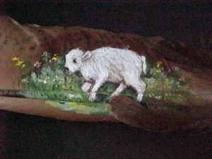 Miracle the white buffalo on feather