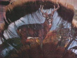 Close-up of Deer scene on turkey fan feathers