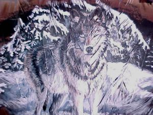 Close-up of Wolf in winter on feathers