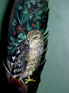 Hawk on feather