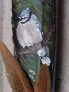 Blue jay on feather