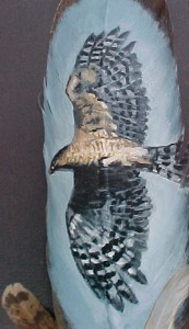 Hawk soaring painted on feather