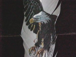 Eagle Soaring on feather