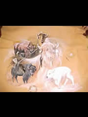 White Buffalo Calf Woman legend painted on deer hide