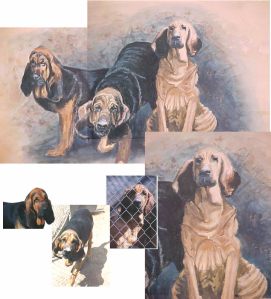 Close-ups of Bloodhounds painted on deer hide