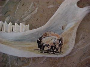 Bison on buffalo bone