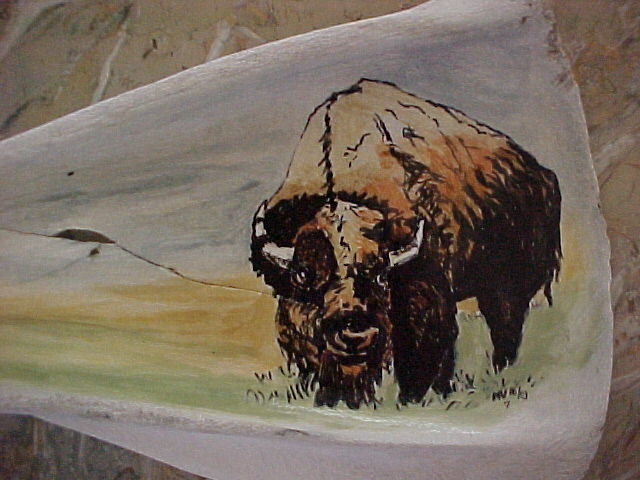 Bison on bone