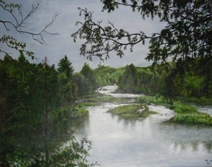 Lower Tahquamenon Falls on deer hide